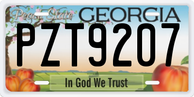 GA license plate PZT9207