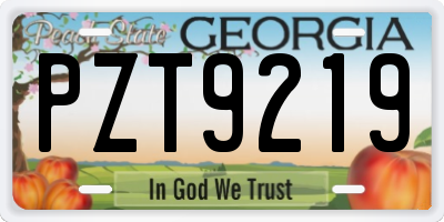 GA license plate PZT9219