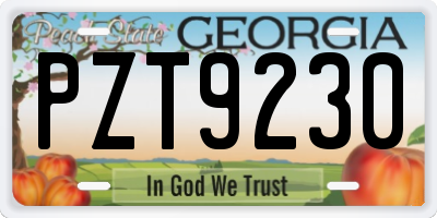 GA license plate PZT9230