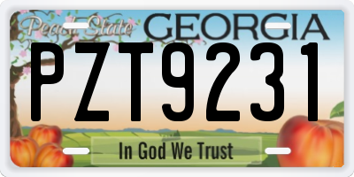 GA license plate PZT9231