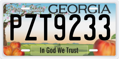 GA license plate PZT9233