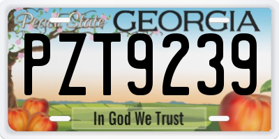 GA license plate PZT9239