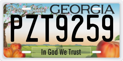 GA license plate PZT9259