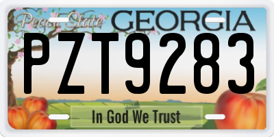 GA license plate PZT9283