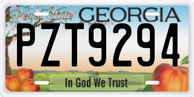 GA license plate PZT9294