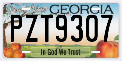 GA license plate PZT9307