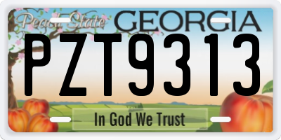 GA license plate PZT9313
