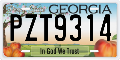 GA license plate PZT9314