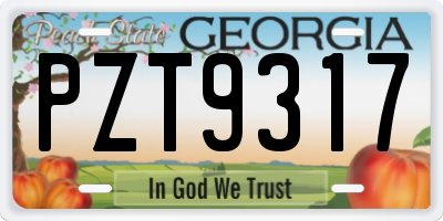GA license plate PZT9317
