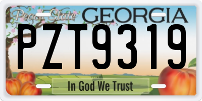 GA license plate PZT9319