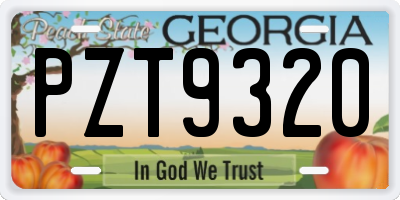GA license plate PZT9320