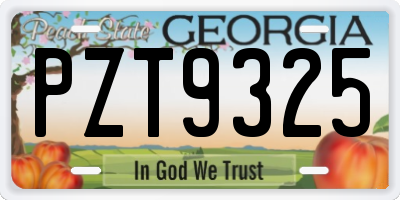 GA license plate PZT9325