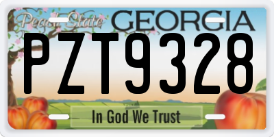 GA license plate PZT9328