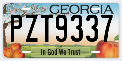 GA license plate PZT9337