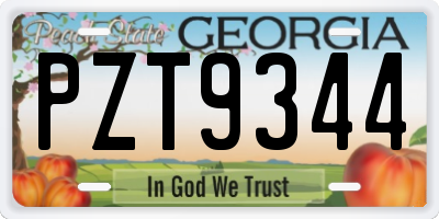GA license plate PZT9344