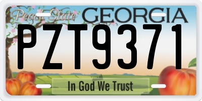 GA license plate PZT9371