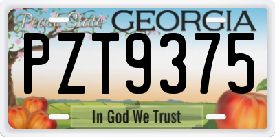 GA license plate PZT9375