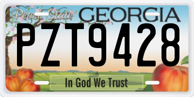 GA license plate PZT9428