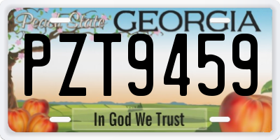 GA license plate PZT9459