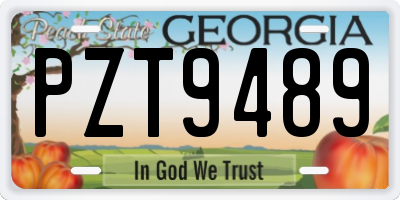GA license plate PZT9489