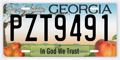 GA license plate PZT9491