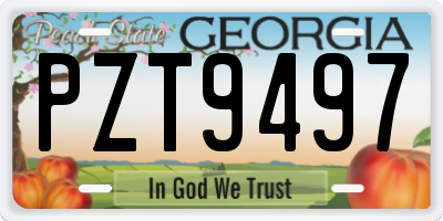 GA license plate PZT9497