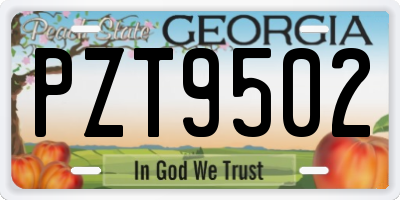 GA license plate PZT9502