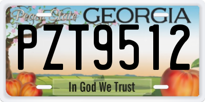 GA license plate PZT9512