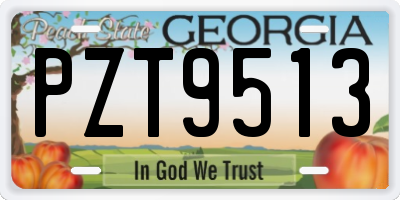 GA license plate PZT9513