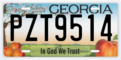 GA license plate PZT9514