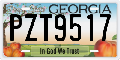 GA license plate PZT9517