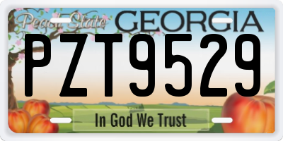 GA license plate PZT9529