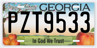 GA license plate PZT9533