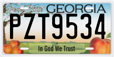 GA license plate PZT9534