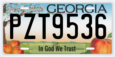 GA license plate PZT9536