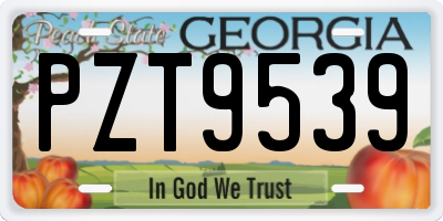 GA license plate PZT9539