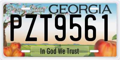 GA license plate PZT9561