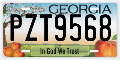 GA license plate PZT9568