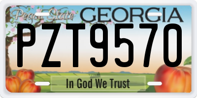 GA license plate PZT9570