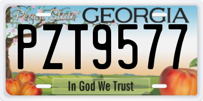 GA license plate PZT9577