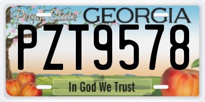 GA license plate PZT9578