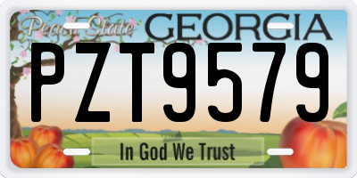 GA license plate PZT9579