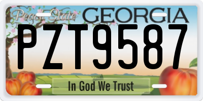 GA license plate PZT9587