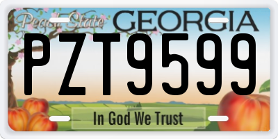 GA license plate PZT9599