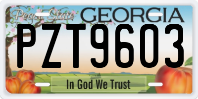 GA license plate PZT9603