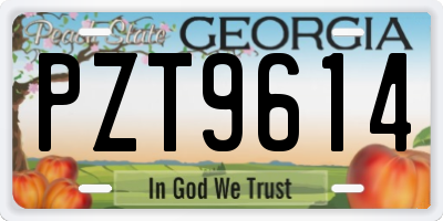 GA license plate PZT9614