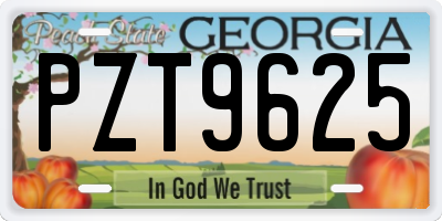 GA license plate PZT9625
