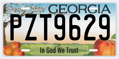 GA license plate PZT9629