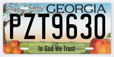 GA license plate PZT9630