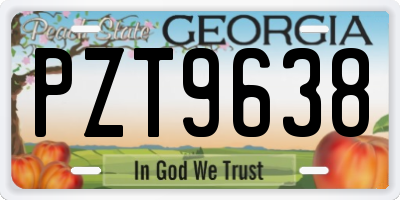 GA license plate PZT9638